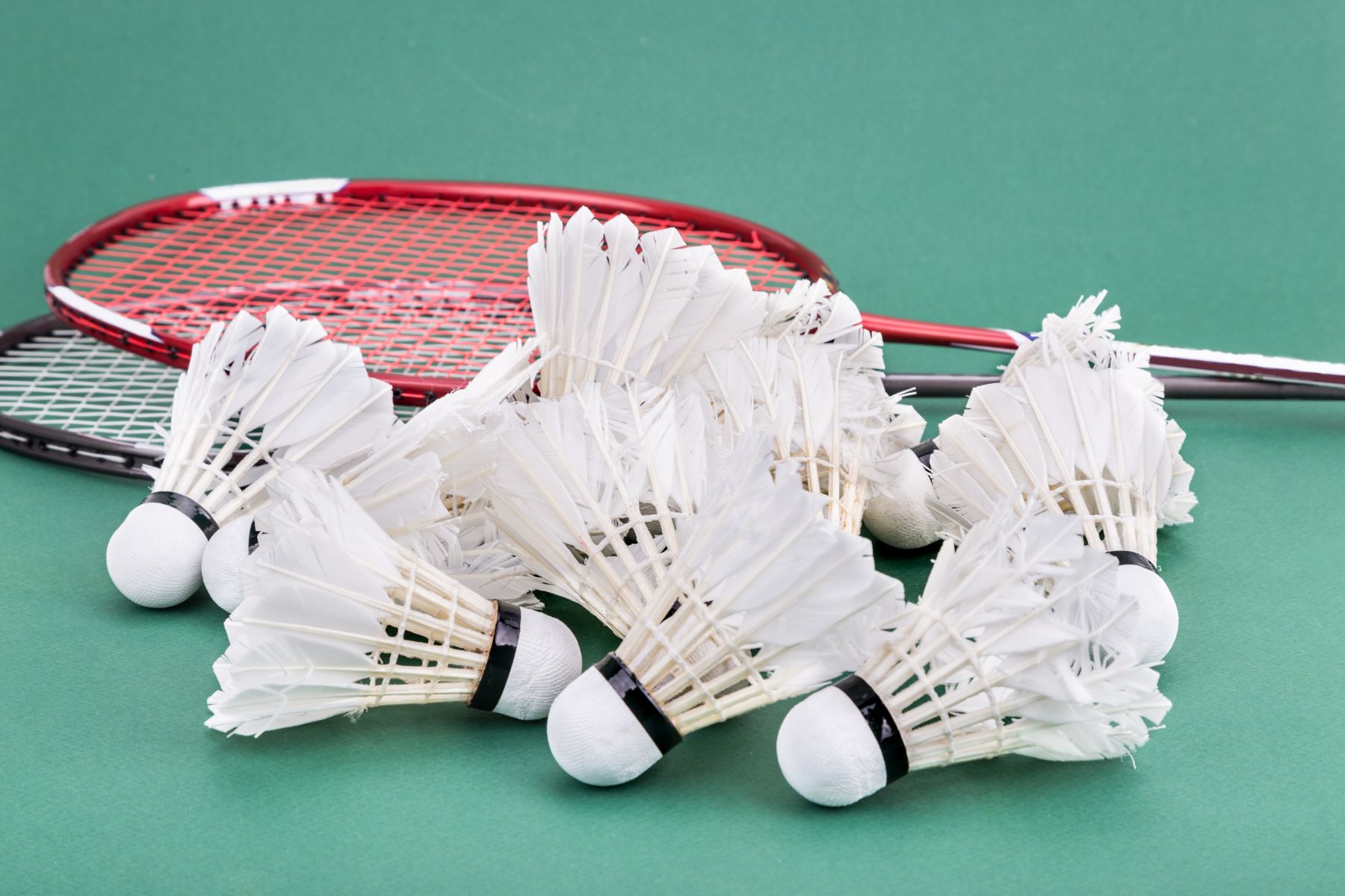 Badminton coaching launches at Xcite Craigswood image